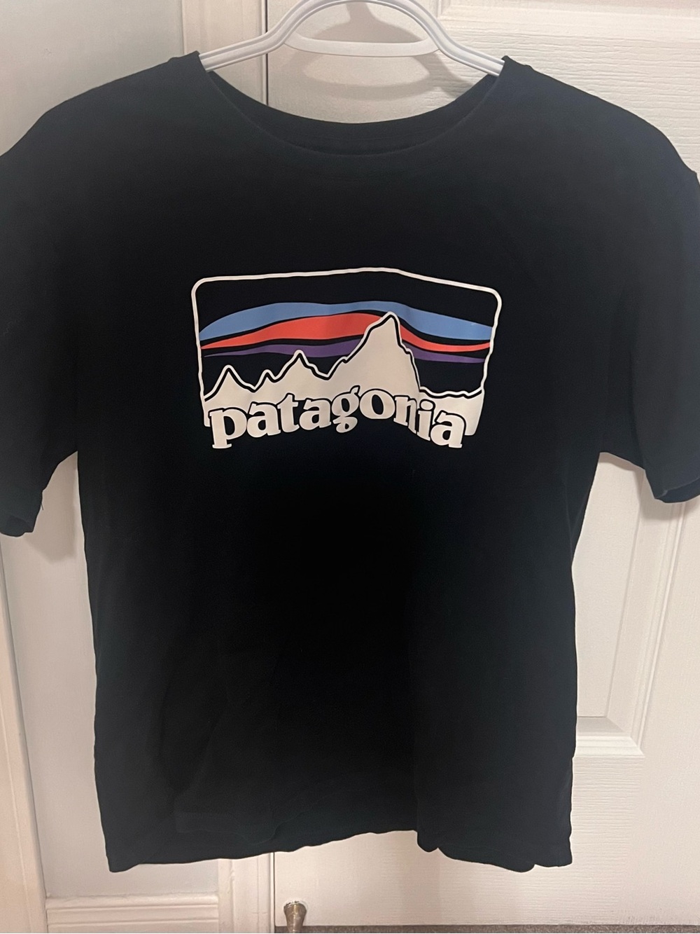 Patagonia Black Short-Sleeve Logo Tee with Blue and Red Mountain Stripe
